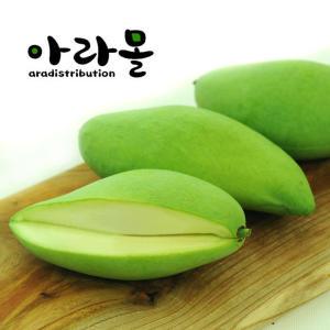 태국 그린망고 (Thailand Green Mango), 14-20과 5kg