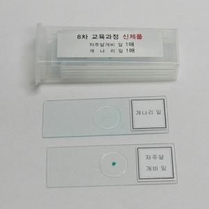 영구프레파라트(자주달개비/개나리잎/2종)