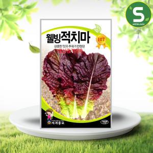 적치마상추씨앗 3000립 웰빙적치마 상추씨앗 상추씨