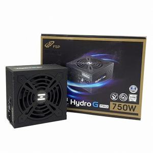 FSP HYDRO G PRO 750W 80PLUS Gold Full Modular/영샵