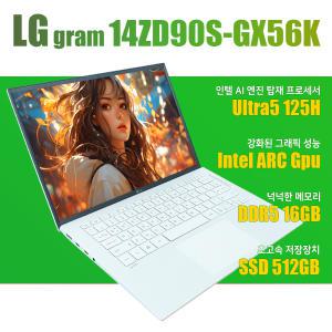 LG그램/14ZD90S-GX56K/NVMe SSD 512G 교체/WIN11설치