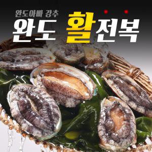 선물용 인기 특대사이즈 8마리 1kg