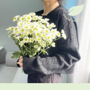 소국 하얀빛 한다발, 3주간의 행복 생화 택배 꽃다발