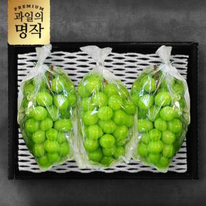 [과일의 명작] 샤인머스켓 선물세트 2kg(2-4수)(특등급]