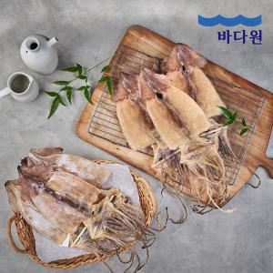 [바다원] 국내산 당일바리 오징어  5미 10미 20미 모음 (건조/반건조)