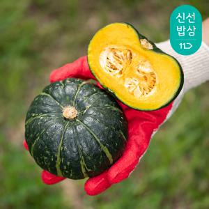 [대한민국농수산] 제주 보우짱 미니밤호박 단호박