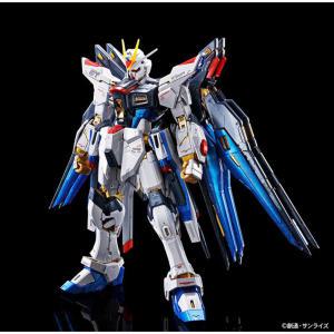 RG 스트라이크 프리덤 티타늄 피니쉬 STRIKE FREEDOM TITANIUM FINISH