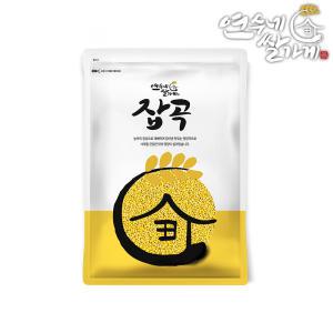 미국산/우크라이나산 찰기장 1kg 기장쌀