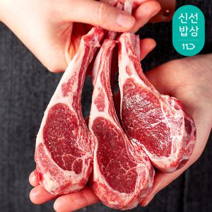 [내일도착] 대한민국농수산 명품 램 양고기 프렌치랙 500g (6~8대)