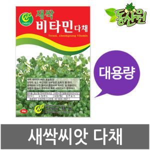 대용량 새싹다채씨앗 500g 1kg 새싹씨앗 다채싹 종자