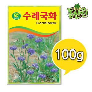 대용량 꽃씨 수레국화씨앗 100g 조경용 꽃씨앗