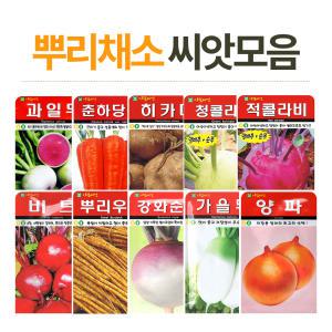 뿌리채소 씨앗  야채 양파 배추 무 고추 당근씨앗