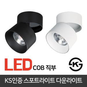 LED COB 이중원통 직부형 30W 백색 스포트라이트 S/P