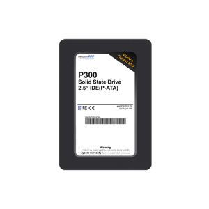 리뷰안 P300 E-IDE SSD 32GB P-ATA 구형PC 산업용PC