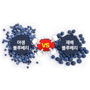 베리필드 세척 야생 냉동 블루베리 1kg