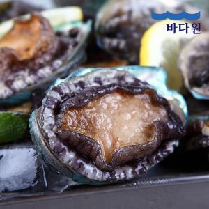 바다원 산지직송 완도 활전복 1kg (50-60미 내외) 싱싱한 전복