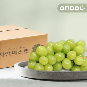 [롯데백화점]온도씨 상주 샤인머스켓 세트 (2kg, 3-4수)