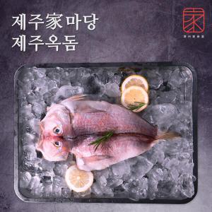 제주家마당 왕특대 제주옥돔 선물세트(미당 280g 4미)