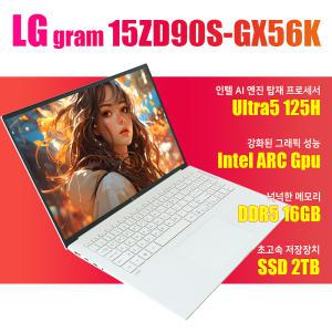 LG그램/15ZD90S-GX56K/울트라5/NVMe SSD 2TB(교체)