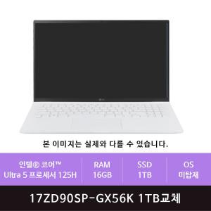 LG 그램 프로17 17ZD90SP-GX56K 1TB교체(zoaa)