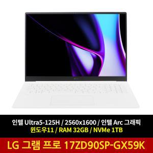 LG전자 LG그램 프로 17ZD90SP-GX59K 윈도우11 램32GB NVMe1TB 노트북