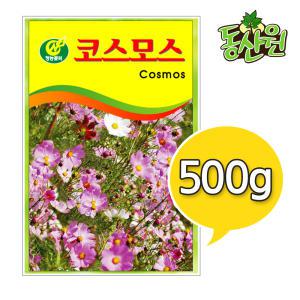 대용량 꽃씨 500g 1kg 코스모스씨앗 조경용 코스모스종자