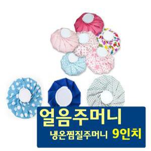 아이스팩 (9인치) 얼음주머니 아이스백 Ice bag 냉온찜질용 아이스팩