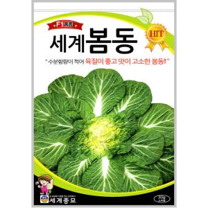 세계 봄동 20g/텃밭 배추 종자 씨앗 키우기