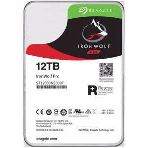 Seagate ST12000NE0007 iron wolf Pro 12 테라바이트 7200 RPM SATA III 3.5 내부 NAS HDD