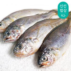 [품질보장]낭만바다 여수 참조기 미당 70g~80g (10미)/반찬용 실속조기(40~50g)1kg