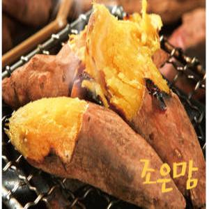 조은맘 해남 퍽퍽한 달콤 밤맛고구마 밤고구마 3kg  중(50~90g)