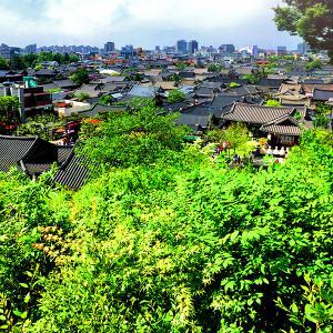 [전북] 전주한옥마을 자유여행 당일여행 왕복셔틀버스 / 전주먹방투어/경기전/자만벽화마을 / 서울경기出