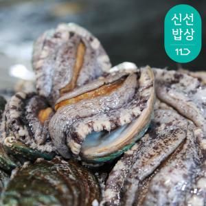 [바다마을] 완도 참 전복 활전복 14~15미 {선물포장 }1.5kg 내외 #국내산 #고급선물 #대사이즈