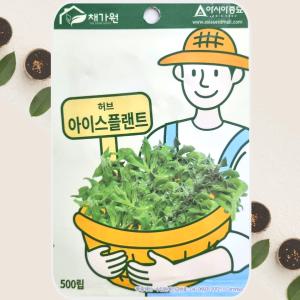 아이스플랜트 씨앗 허브 종자 500립 플랜트씨