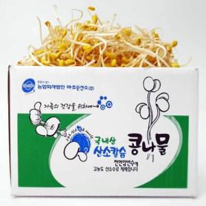 [무농약 국산콩] 산소 콩나물  2kg