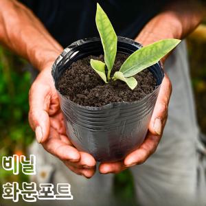 화분 플라스틱 육묘 컵 포트 검정 비닐 슬릿분 모종 다육이 분갈이 컵포트 식물 심기 텃밭