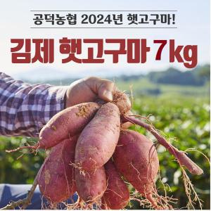 2024 농협 김제 햇 밤고구마(7kg*1박스)