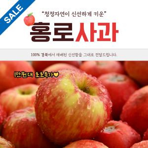 [해피추석] 새빨간 홍로사과 소중대과 2kg-5kg / 천혜 자연 경북에서 키운 명품사과 / 꼼꼼한 이중 검수 선별로 최상급 18brix 이상 높은 당도 / 가정용