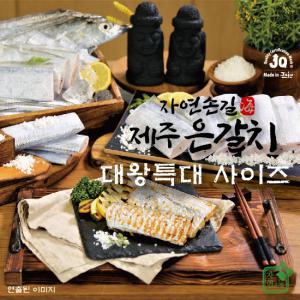 자연손길제주은갈치대왕특대550g×3팩_정산