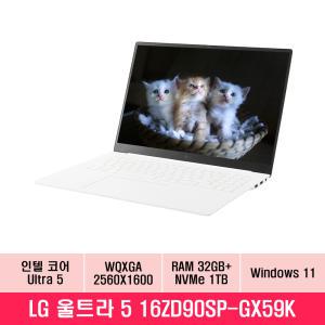 LG전자 그램 프로16 16ZD90SP-GX59K 인텔 울트라5 램32G NVMe1TB교체 WIN11 대학생 노트북 추천 EU