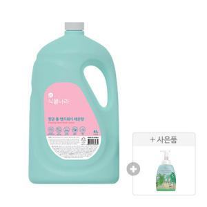 식물나라 항균 폼 핸드워시 레몬향 4L, 1개 + 증정(공용기 490ml, 1개 )