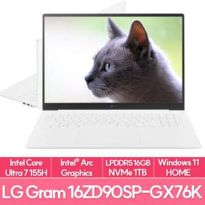 그램 프로16 16ZD90SP-GX76K 인텔 울트라7 램16G NVMe1TB교체 WIN11 업무용 대학생 노트북 추천 EU