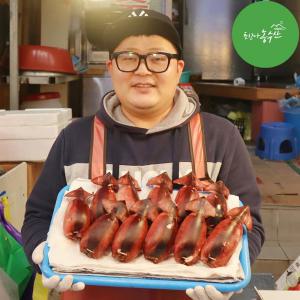 [최고다농수산]속초 오징어순대 아바이순대 중앙시장 찰순대 오소리감투 돼지 부속