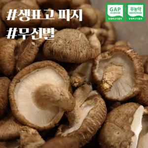 표고버섯 국내산 파지 8kg (무선별 실속형) 무농약 GAP인증 산지 무료