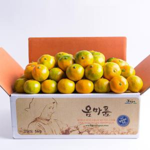 [옴마품]24년 첫수확! 달콤새콤한 햇노지감귤 4.5kg