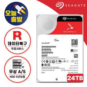 씨게이트 아이언울프 프로 NAS HDD 24TB ST24000NT002 나스 하드디스크