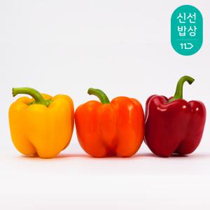 [품질보장] 지지팜 파프리카 1kg 2kg 빨강 노랑 파프리카 재배농장