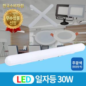 LED 일자등30W 주광색 트윈등 LED조명등 형광등