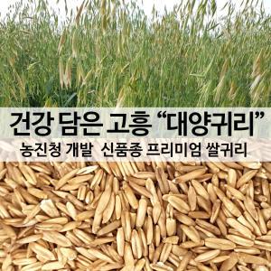 국산 대양 귀리쌀 1kg