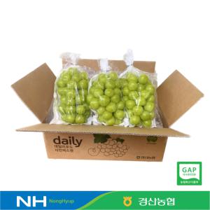 [경산농협] GAP인증 옹골찬 샤인머스켓 1.5Kg 2Kg